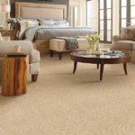 Residential & Commercial Carpet